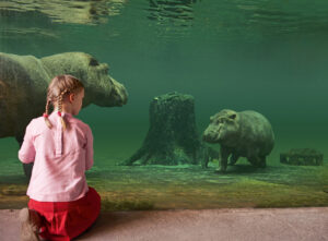 Read more about the article Hannover hat Deutschlands familienfreundlichsten Zoo
