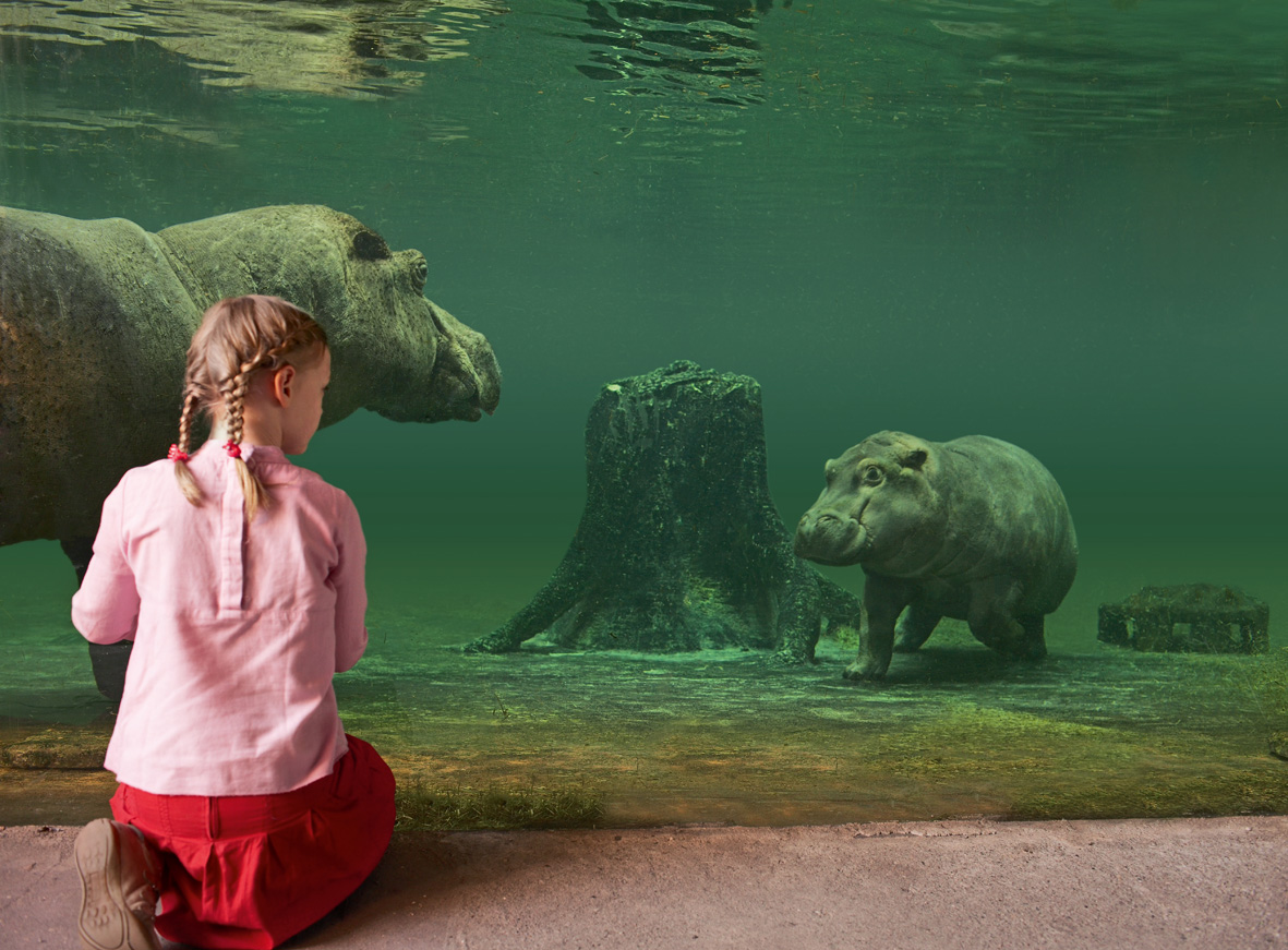Read more about the article Hannover hat Deutschlands familienfreundlichsten Zoo