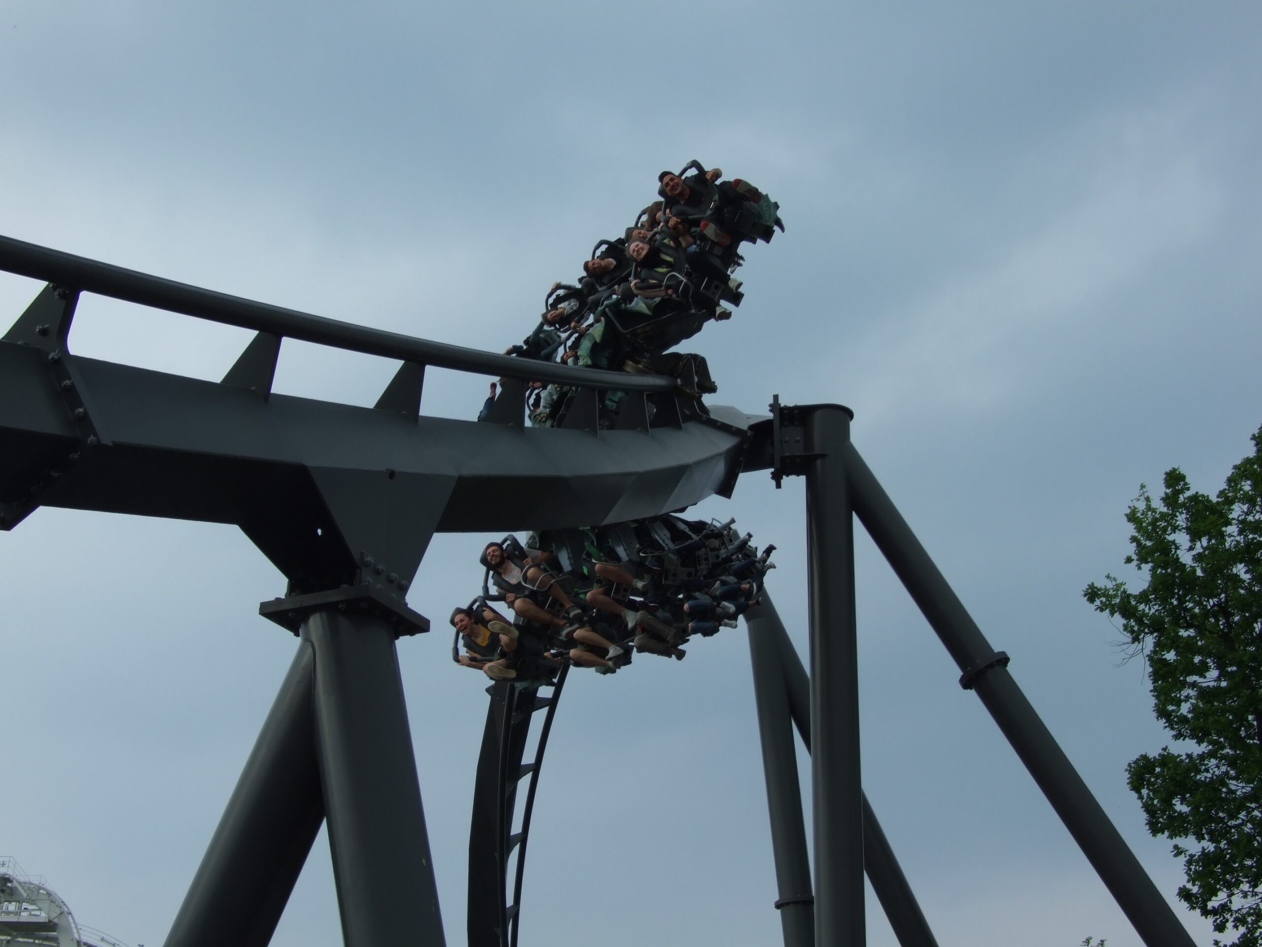 Read more about the article Raptor (Gardaland)
