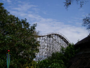 Read more about the article Gwazi (Lion) (Busch Gardens Tampa)