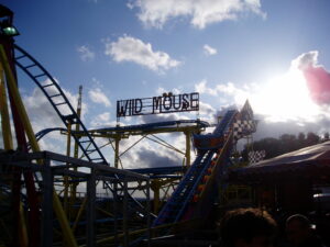 Read more about the article Wild Mouse (Abie Danter)