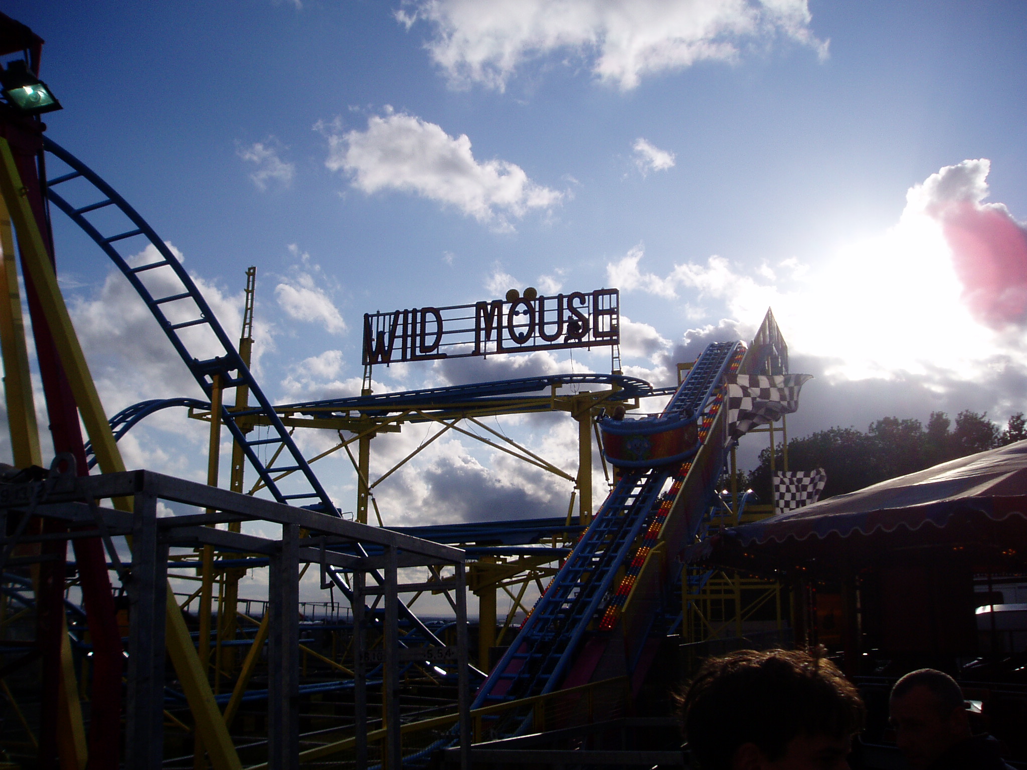 You are currently viewing Wild Mouse (Abie Danter)