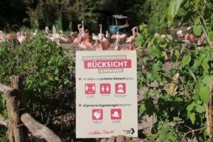 Read more about the article Tierische Freude: Erlebnis-Zoo Hannover öffnet in Kürze wieder – mit Schutzkonzept
