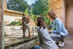 Read more about the article Solides wirtschaftliches Fundament – Erlebnis-Zoo Hannover stellt Wirtschaftsplan 2023 vor