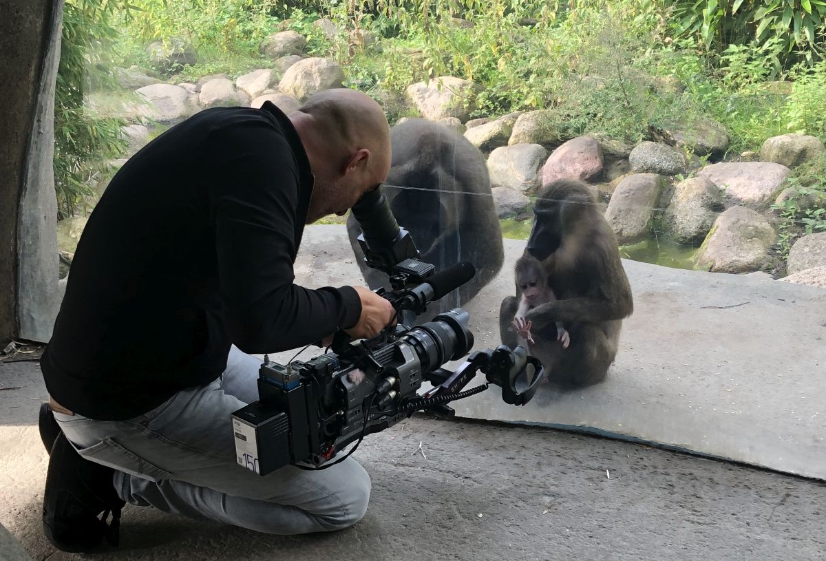 Read more about the article Beliebte Fernseh-Serie aus dem Erlebnis-Zoo geht in die zweite Staffel
